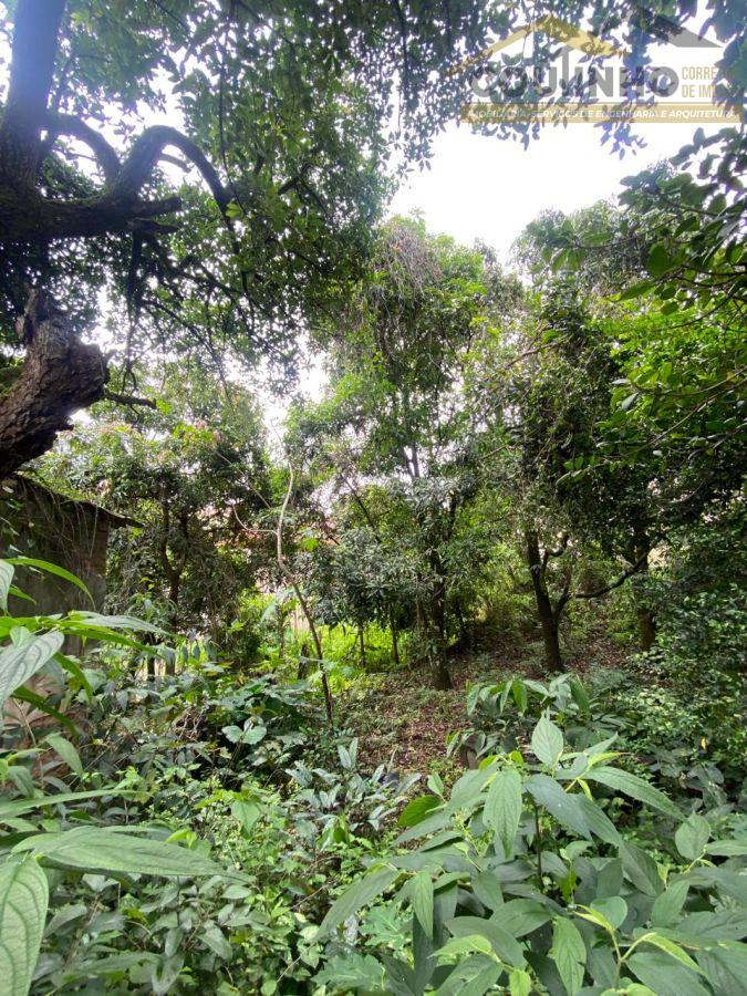 WhatsApp Image 2026-01-22 at 16.47.13 (9).jpeg